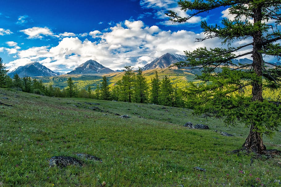 3, 山, 背後, 白, 雲, 昼間, 白い雲, 風景, モンゴルロシア国境山, ファックス北西部