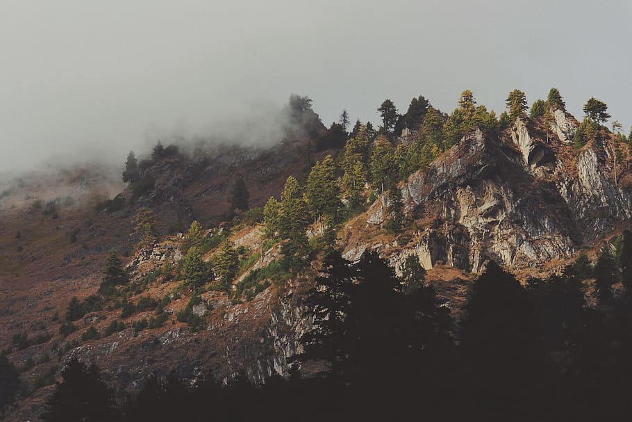 Gunung Lanskap Puncak Pohon Pinus Pemandangan Estetika Batu Kabut Langit Pxfuel