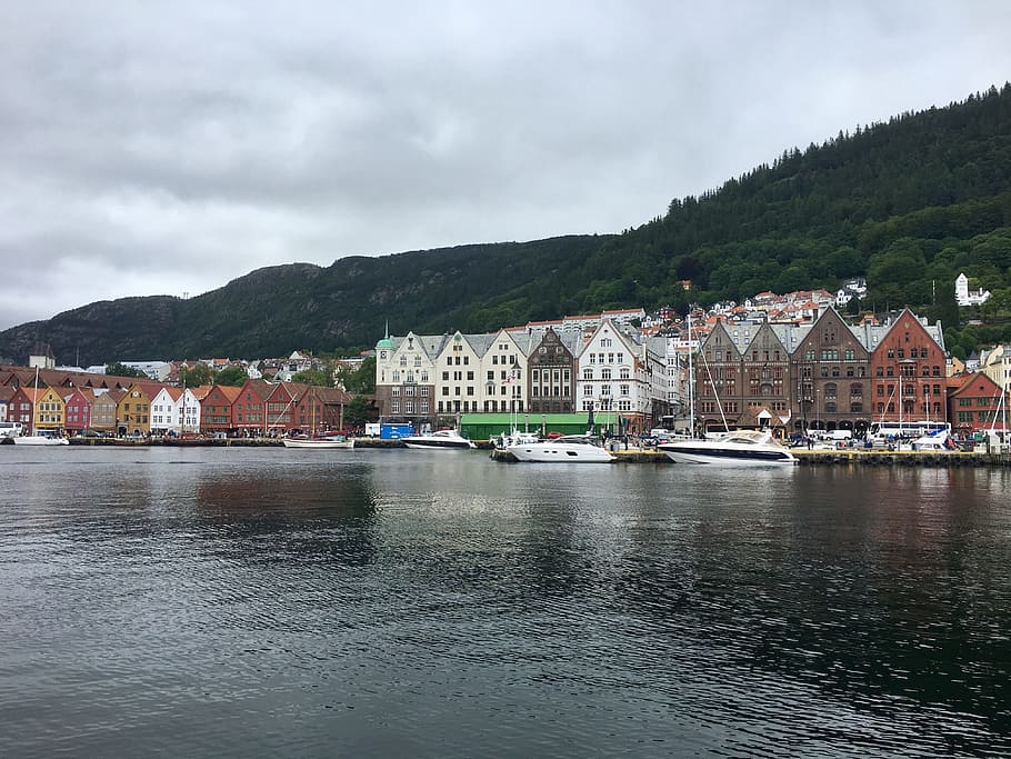 도시, 물, 항구, 집, 바다, 노르웨이, 베르겐, 유럽, 마을, 하늘