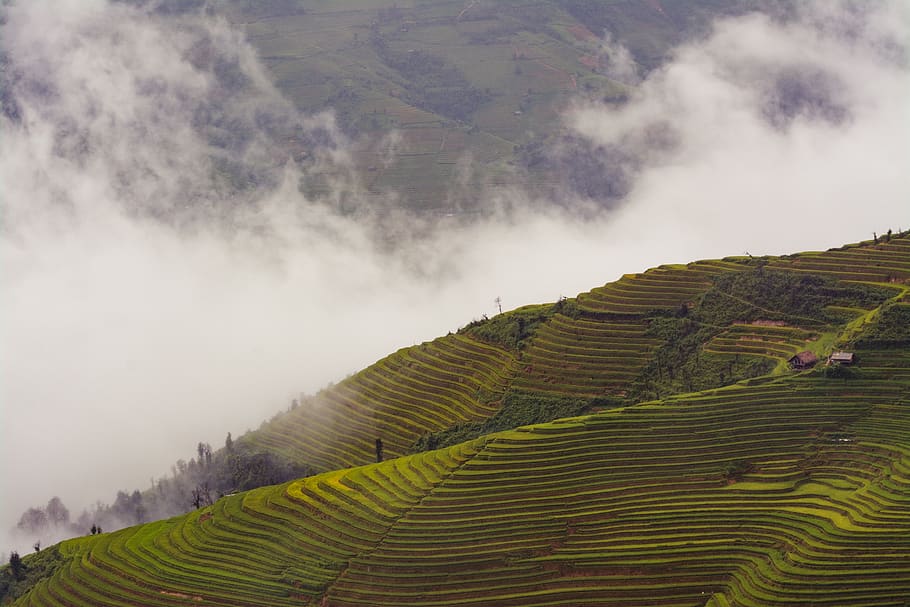 agriculture, clouds, cropland, daylight, farm, field, fog, landscape, mist, mountains