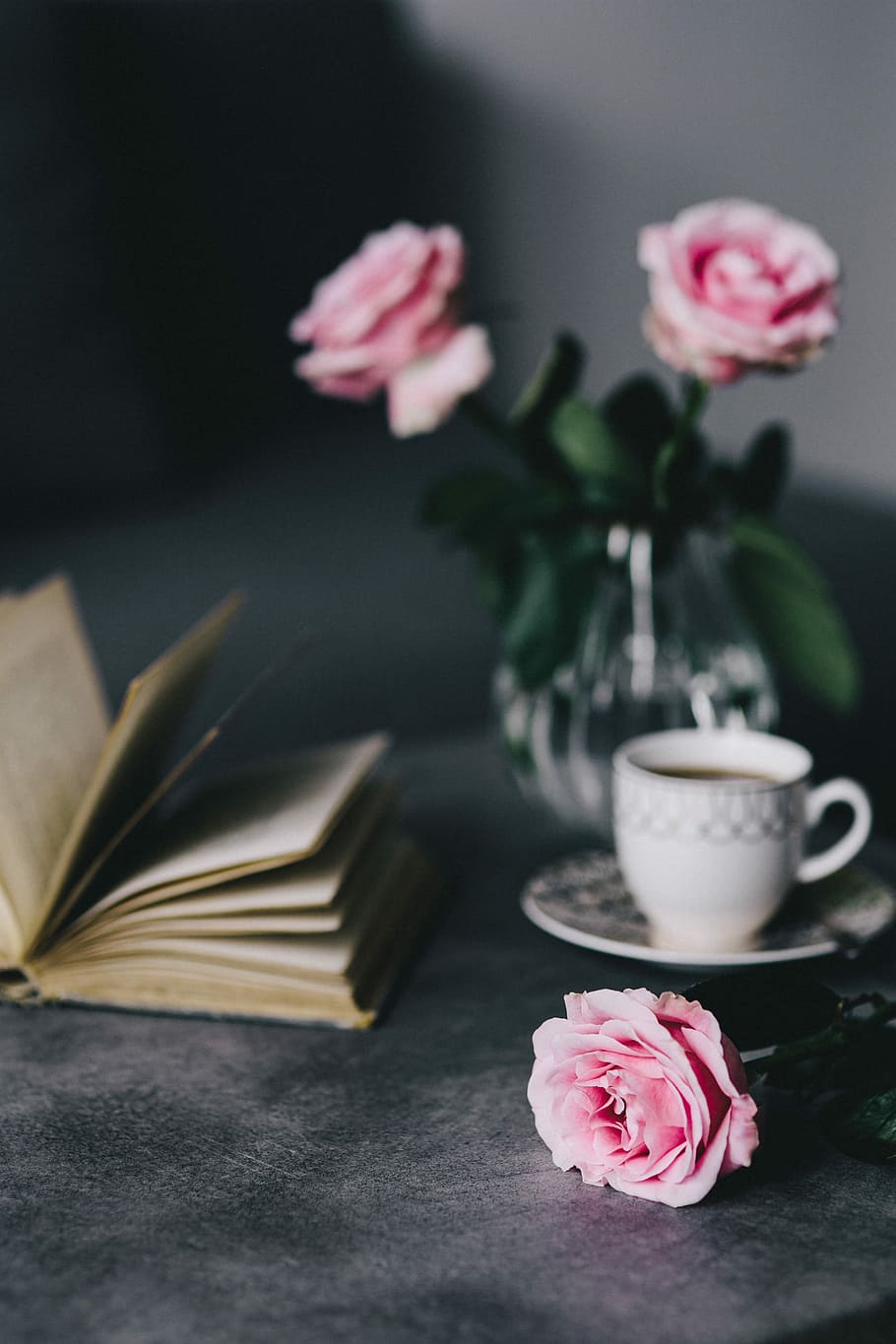 encantador, rosas, libro, café, rosa, interior, descanso, relax, esencial, lectura
