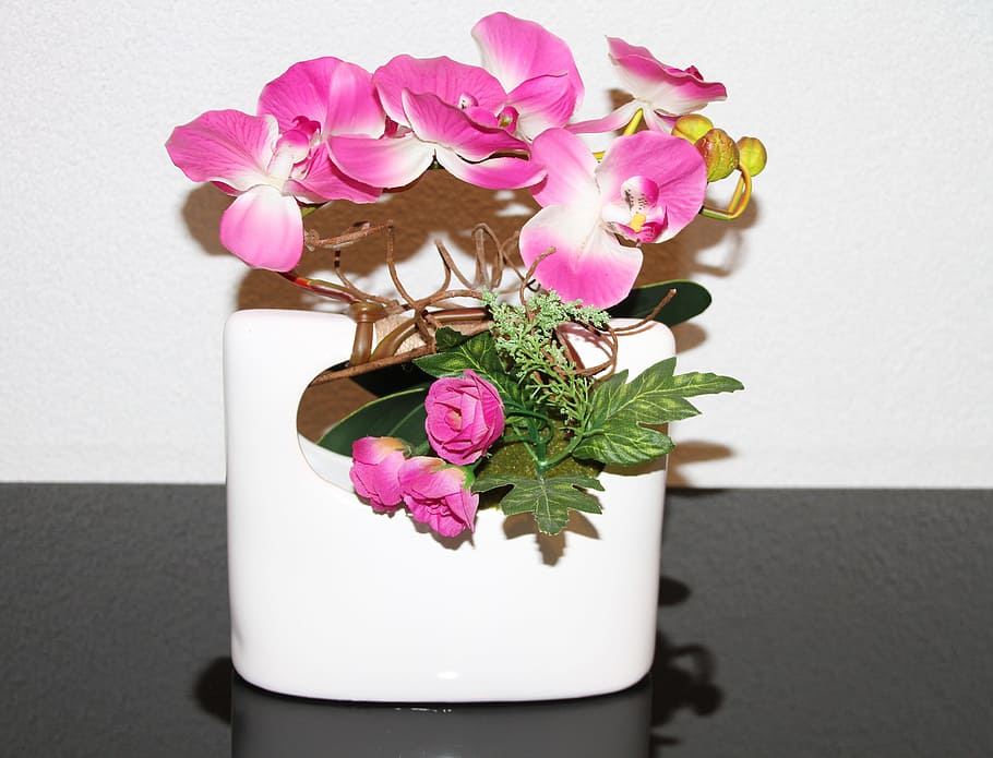花瓶, 蘭, ピンク, 花, 植物, 緑, カラフル, 閉じる, 明るい色, デコ