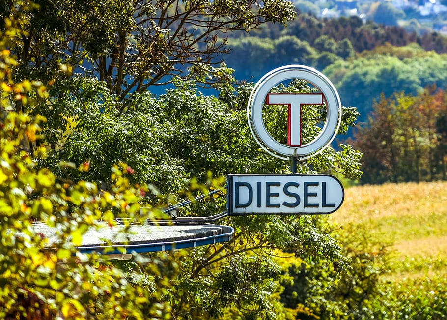 petrol stations, forest, historically, nature, fuel stop, autumn, plant, tree, growth, sign