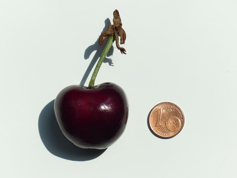 round bronze coin, red, fruit, cherry, large, huge, size comparison, cent, penny, coin
