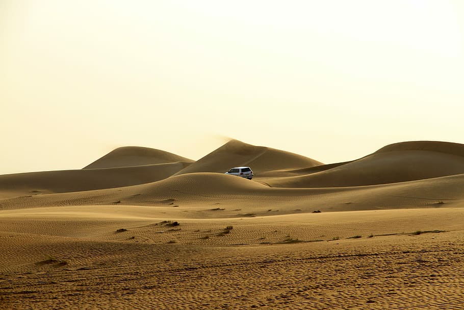 blanco, vehículo, de viaje, desierto, arena, paisaje, panorámico, naturaleza, puesta de sol, mar