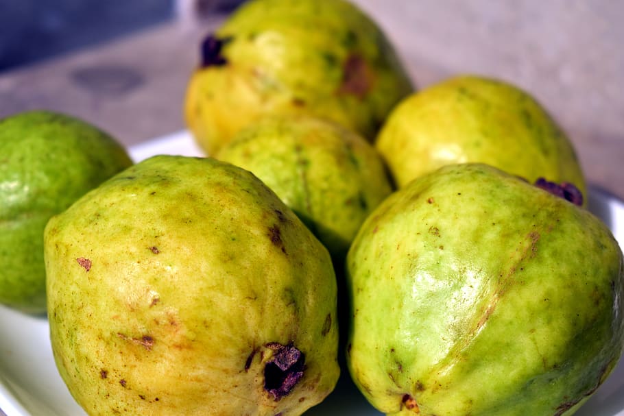 guavas, fruit, psidium, yellow fruit, food and drink, food, healthy eating, freshness, wellbeing, green color