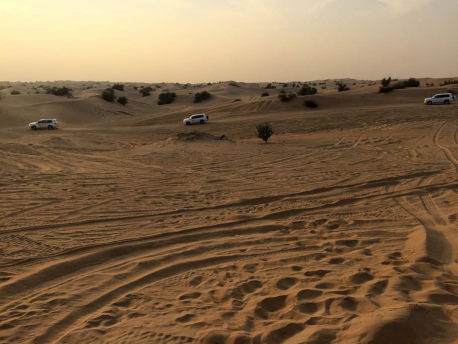 off-road, kendaraan, gurun, bersatu, emirat arab, kendaraan off-road, Sharjah, Uni Emirat Arab, foto, horizon
