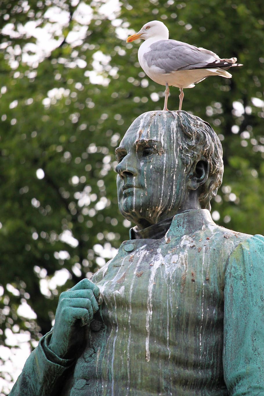 gull, statue, bird droppings, degrading, bird, focus on foreground, representation, sculpture, human representation, vertebrate