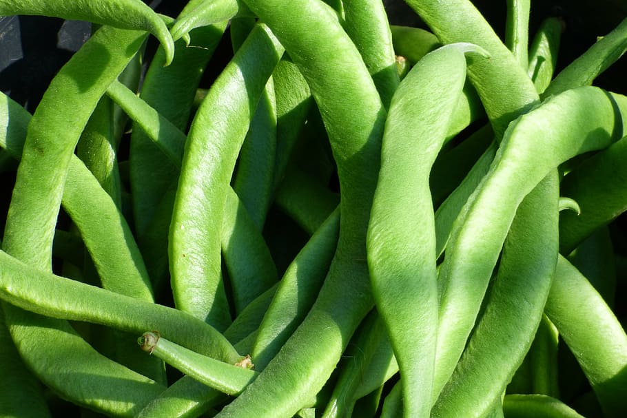 closeup, view, peas, runner beans, vegetable, beans, food, healthy, legume, harish