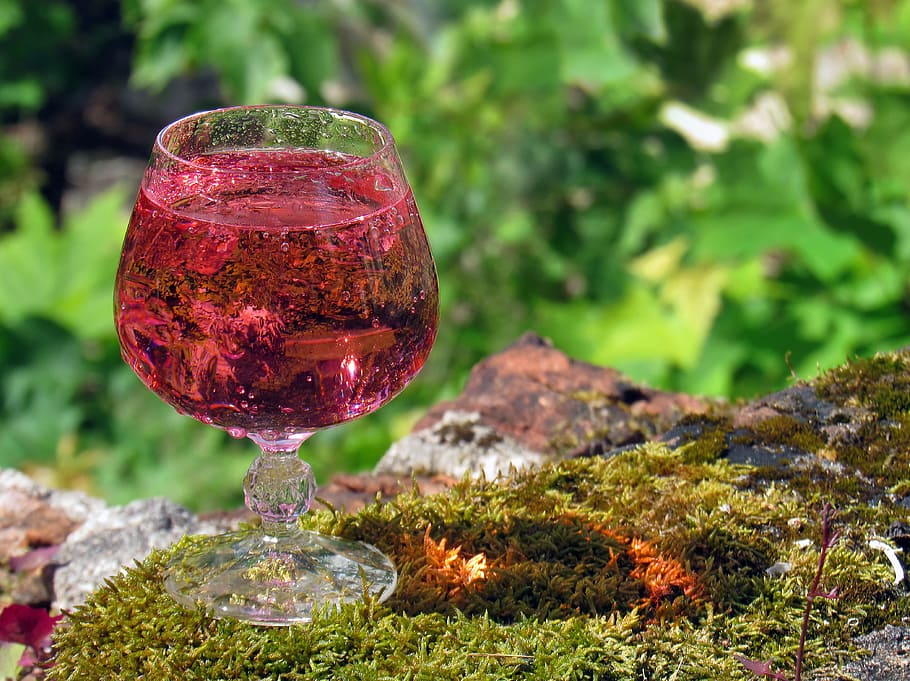 glass, champagne, alcohol, drink, a glass of wine, reflection, air, in the sun, focus on foreground, plant