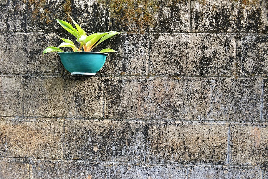 negative space, flower pot, hand made pot, hanging pot, cement pot, gardening, mawanella, ceylon, sri lanka, wall - Building Feature