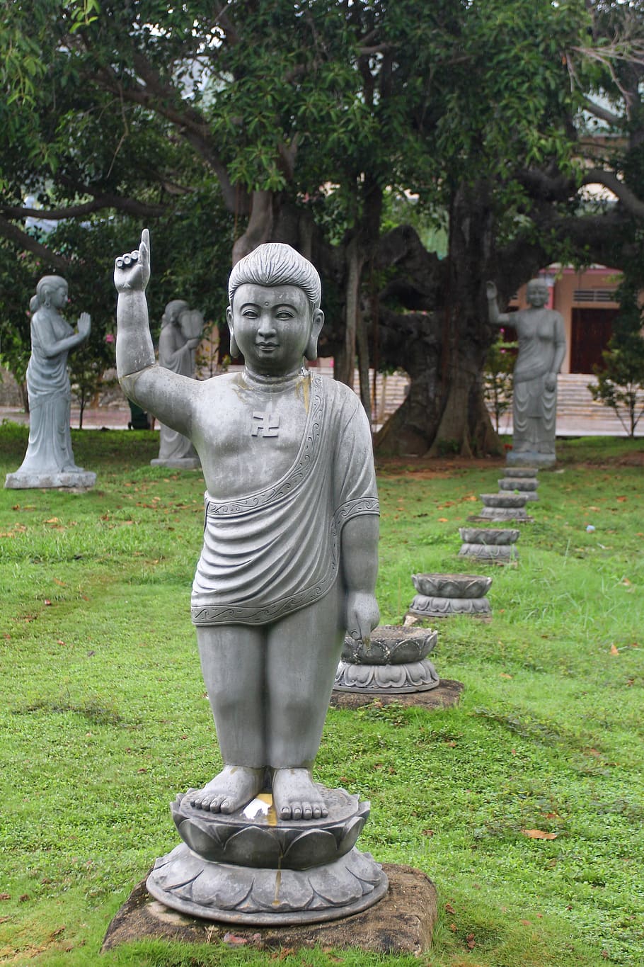 Budha, ulang tahun, kelahiran, sala, siddhartha, Gautama, shakyamuni, mayadevi, teratai, tujuh