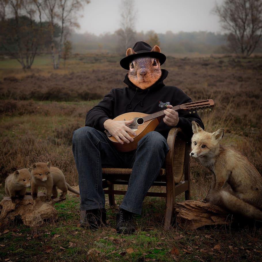 man, playing, guitar, outdoor, three, red, foces, squirrel, animal, wild