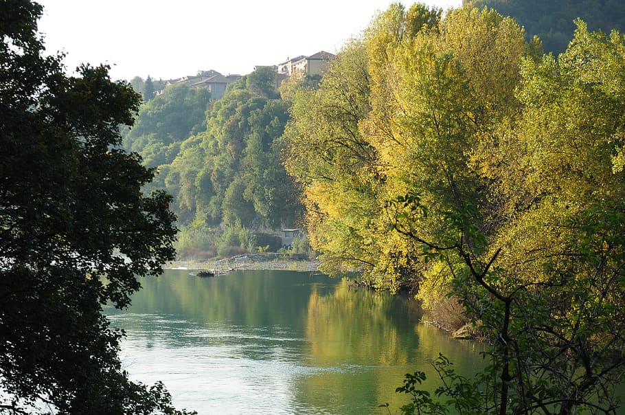 otoño, agua, río, naturaleza, paisaje, árboles, árbol, planta, belleza en la naturaleza, paisajes - naturaleza
