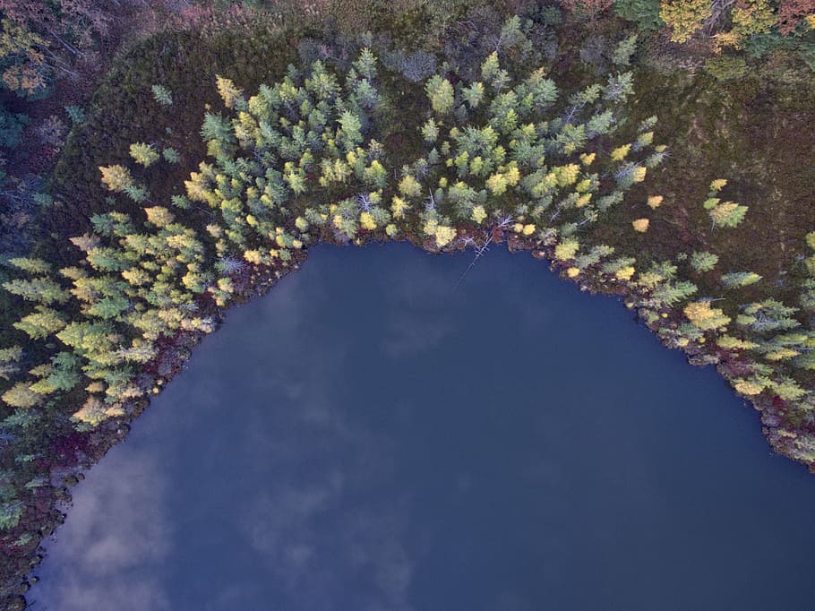 aerial, photography, body, water, trees, clolorful, view, plant, forest, nature