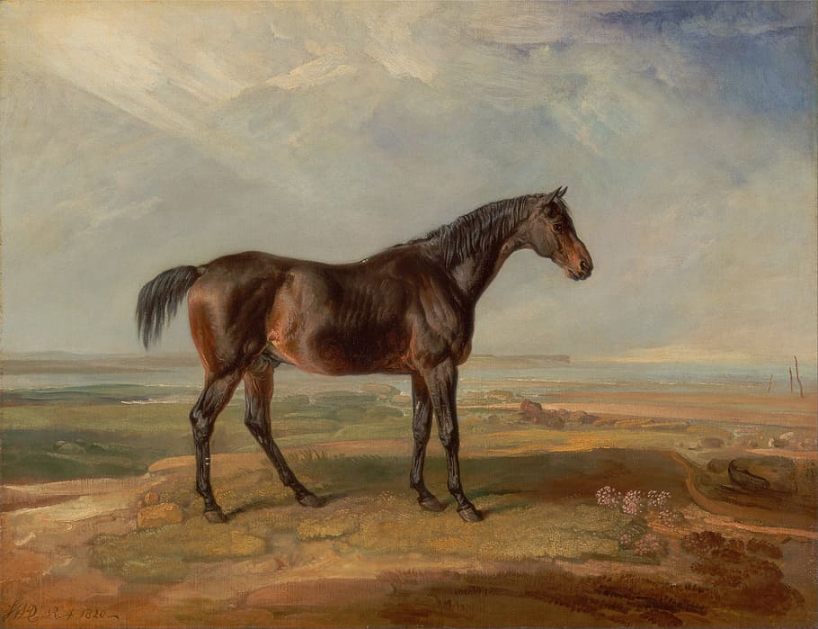 brown, horse painting, standing, field, James Ward, Painting, Oil On Canvas, art, horse, nature