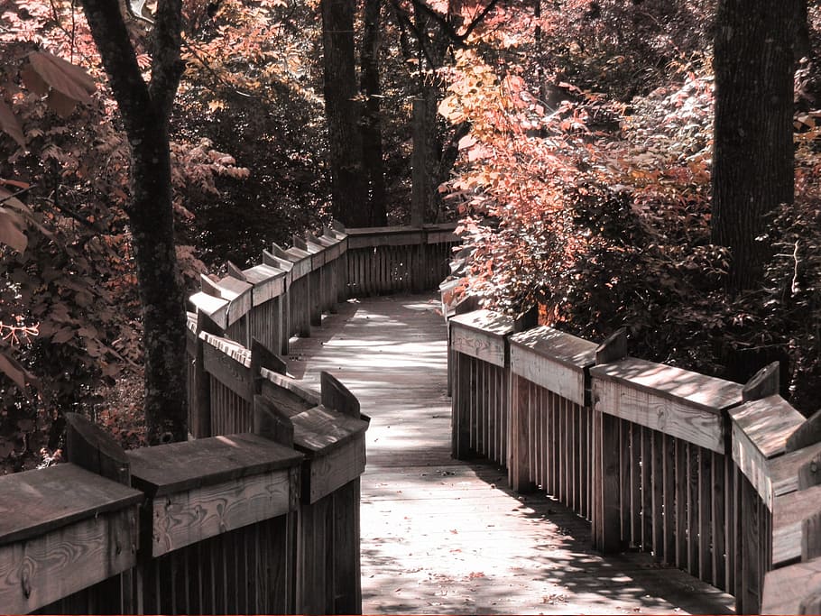 gray, wooden, bridge, trees, overlay, nature, sepia, scene, woods, sunshine