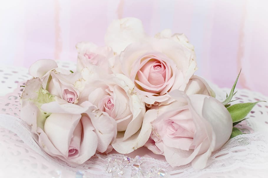 flores color de rosa de la boda, boda, flores, varios, flor, ramo, rosa - flor, color rosa, amor, romance