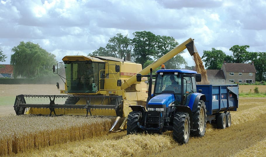 working, grain field, Tractors, grain, field, agriculture, farming, machine, machines, public domain