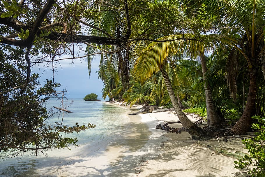 panama, island, caribbean, beach, sea, paradise, water, sand, exotic, san-blas
