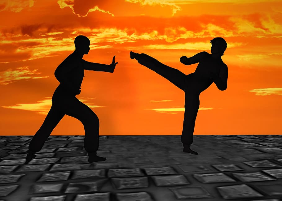 silhouette, person, taking, karate, martial arts, silhuetten, muay thai, kick boxing, kung fu, attack