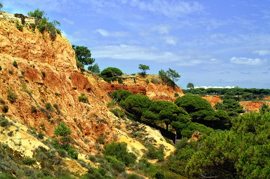 Portugal, Algarve, roca, rojo, costa rocosa, cielo, arena roter, planta, árbol, belleza en la naturaleza