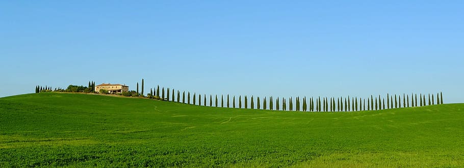 green, grass field, hill, daytime, toscana, cypresses, farmhouse, scenic, panorama, meadow