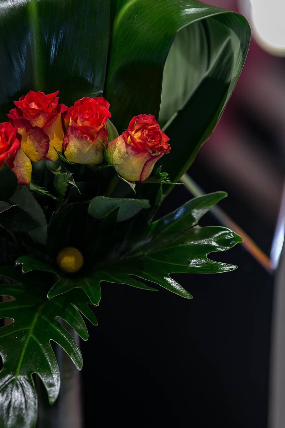 flower, rose, flora, bouquet, Close-up, little, red, yellow, roses, plant