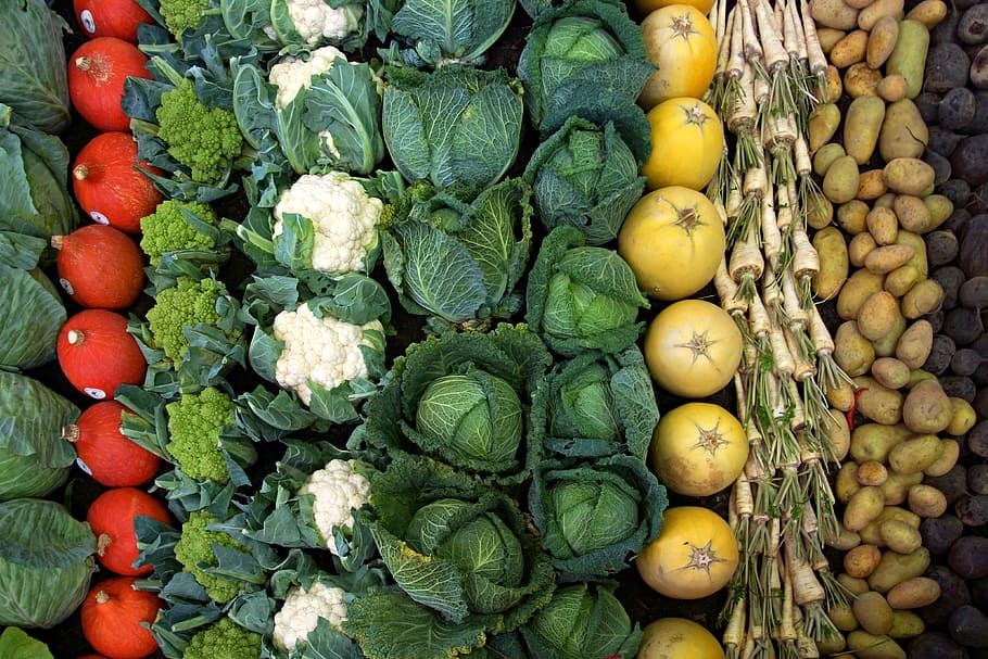assorted vegetable lot, vegetables, cauliflower, cabbage, pumpkin, parsley, decoration, background, still life, food and drink