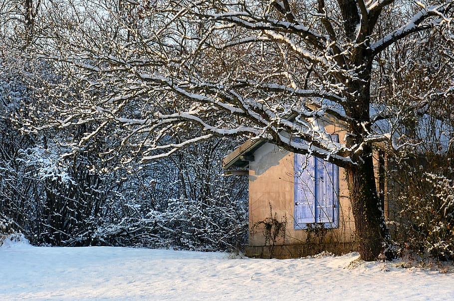 winter, snow, cold, landscape, nature, owl, house, romantic, frozen, cold temperature