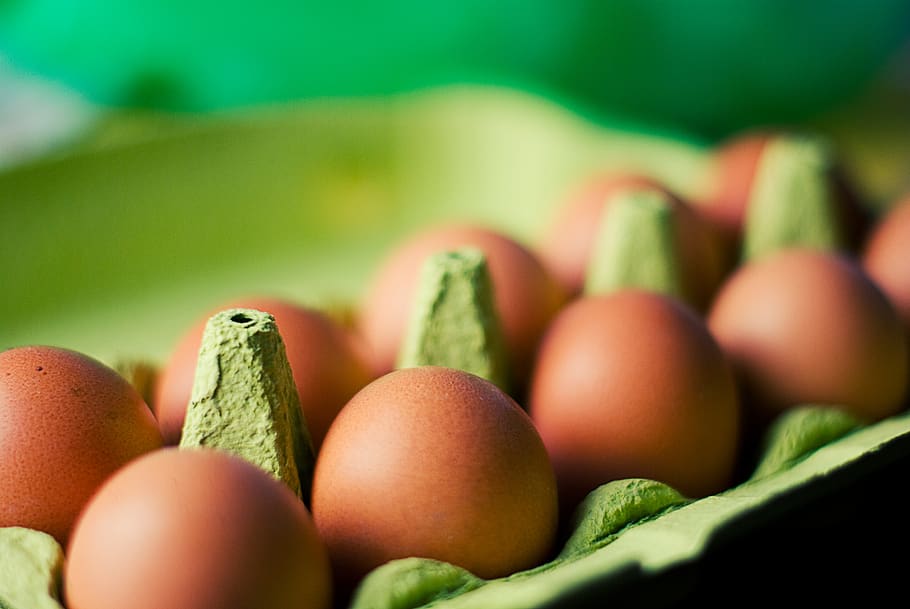 brown, eggs, carton, food, breakfast, healthy eating, freshness, food and drink, wellbeing, selective focus