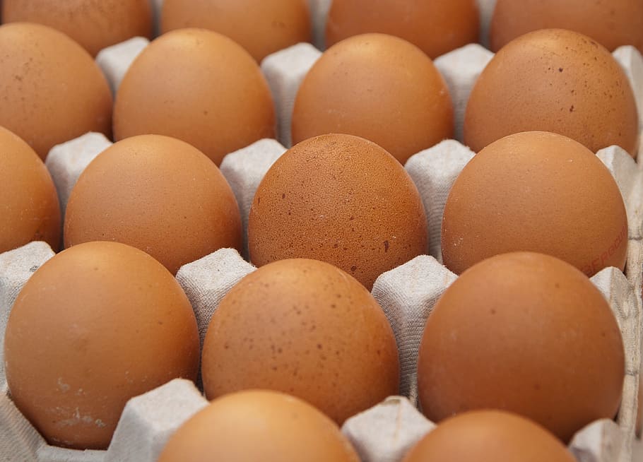close-up, tray, brown, Eggs, Hen, Market, Egg Carton, Kitchen, food, animal Egg