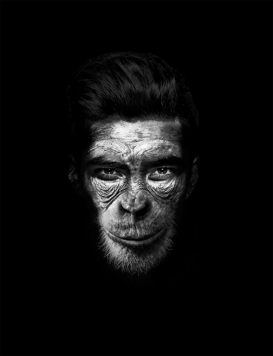ape, digital, Man, Mono, Chimpanzee, hombremono, orang-outang, darkness, black background, portrait
