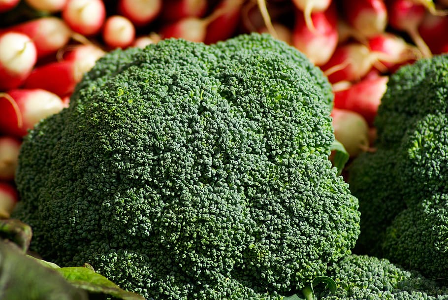 green plant, broccoli, radish, vegetables, gardening, vitamins, food and drink, food, healthy eating, vegetable