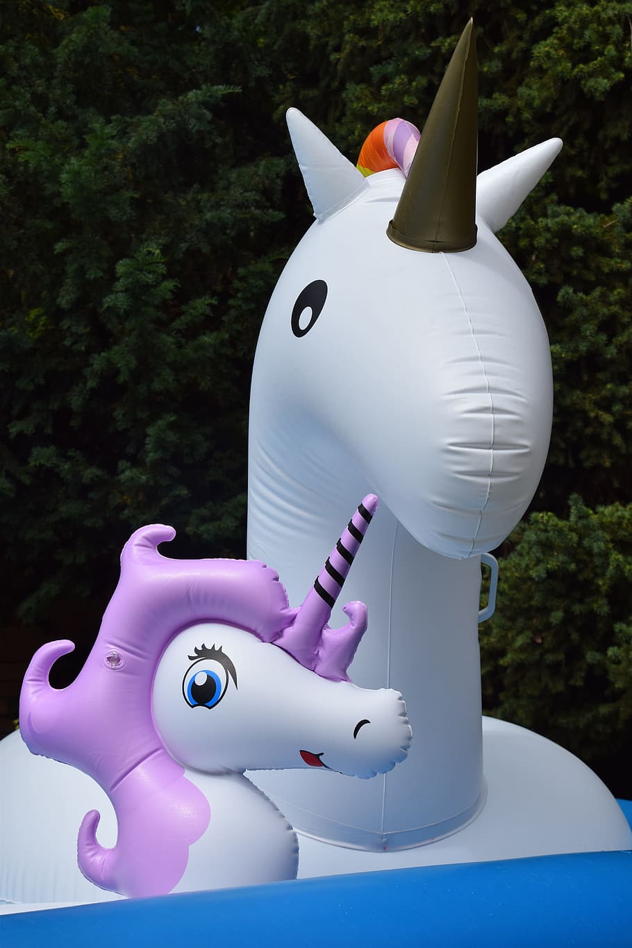 two, white-and-purple unicorn inflatable floaters, unicorn, two horn, three horn, representation, animal representation, day, pink color, art and craft
