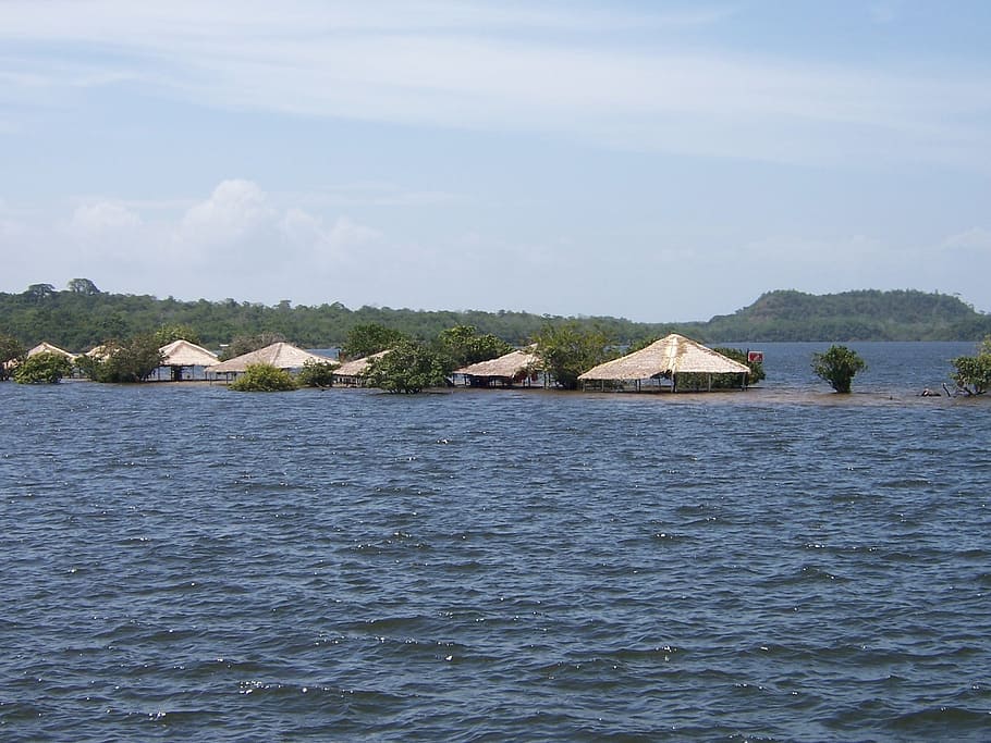Alter Do Chao, Amazonas, Brasil, Santarém, rio, férias, resort, tapajos, inundado, ecoturismo