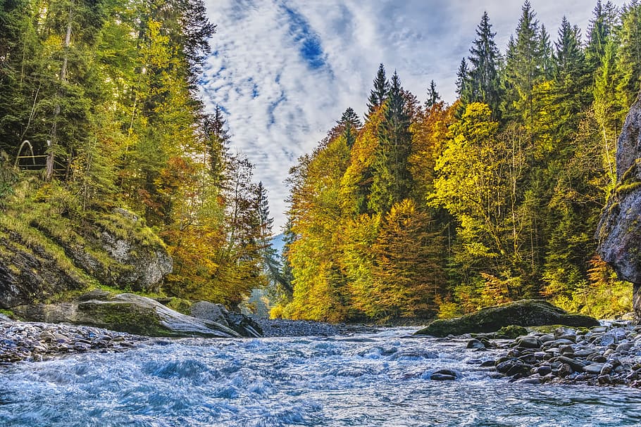 ammer, alpine, autumn, trees, river, color, beautiful, idyll, idyllic, mountains