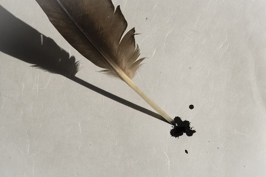negro, tinta, marrón, pluma, pluma de ave, papel, pergamino, papel hecho a mano, estructura del papel, papelería