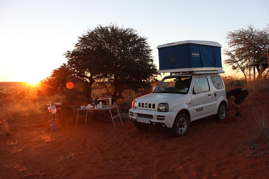 automático, carpa de techo, namibia, desierto, árbol, dunas, arena roter, áfrica, duna de arena, modo de transporte
