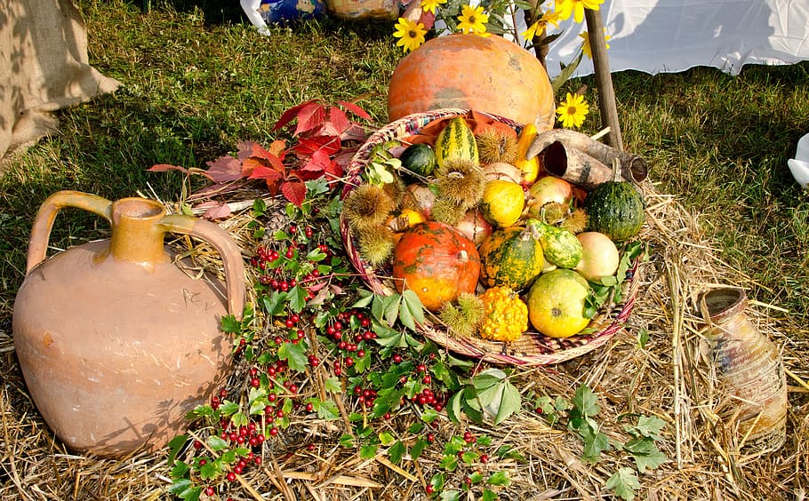 basket, autumn, agriculture, cottages-vacation rentals, amphora, terracotta, autumn flowers, chestnuts, food, colorful