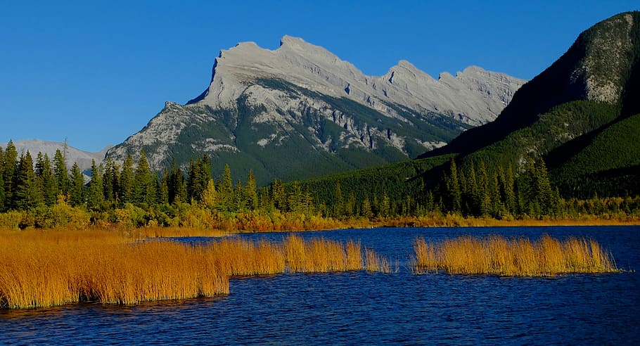 body, water, mountain, daytime, vermilion lakes, banff national park, lake, alberta, landscape, park