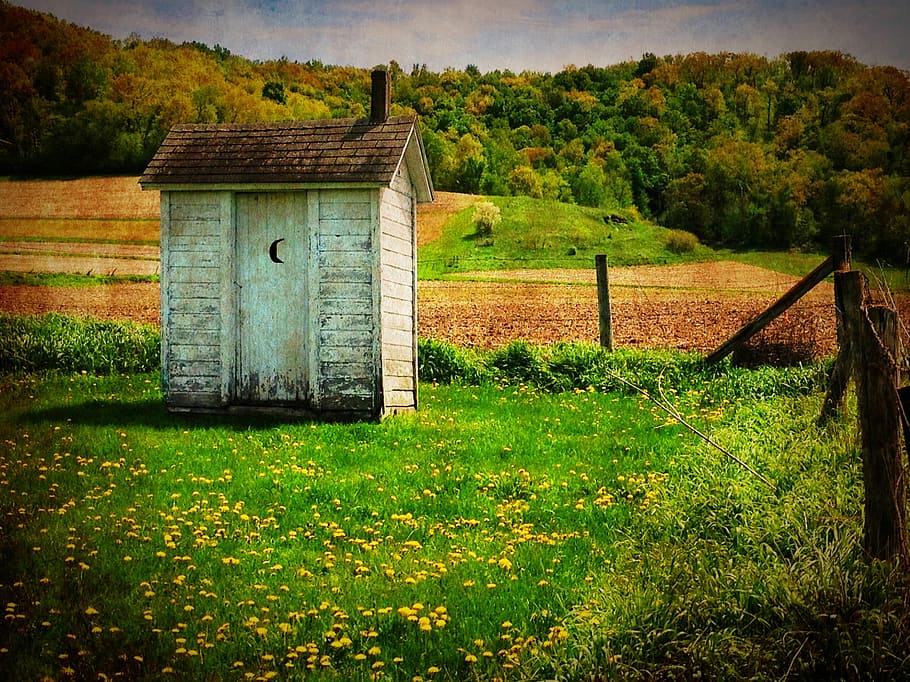 white, wooden, shed, outhouse, old, country, rustic, rural, door, toilet