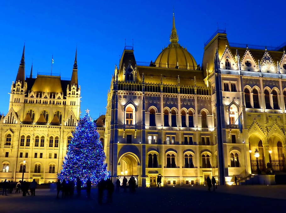 Budapest, Hongaria, Parlemen, gedung parlemen Hongaria, kayu pinus, pohon natal, jam biru, di malam hari, cahaya, bangunan