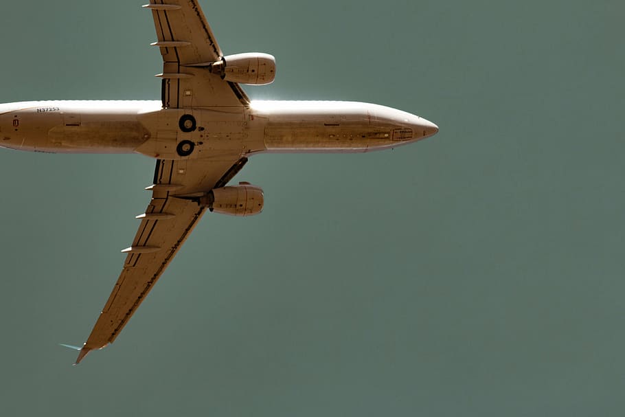 fotografía de ángulo bajo, blanco, avión, vuelo, cielo, aerolínea, viaje, azul, vehículo aéreo, transporte
