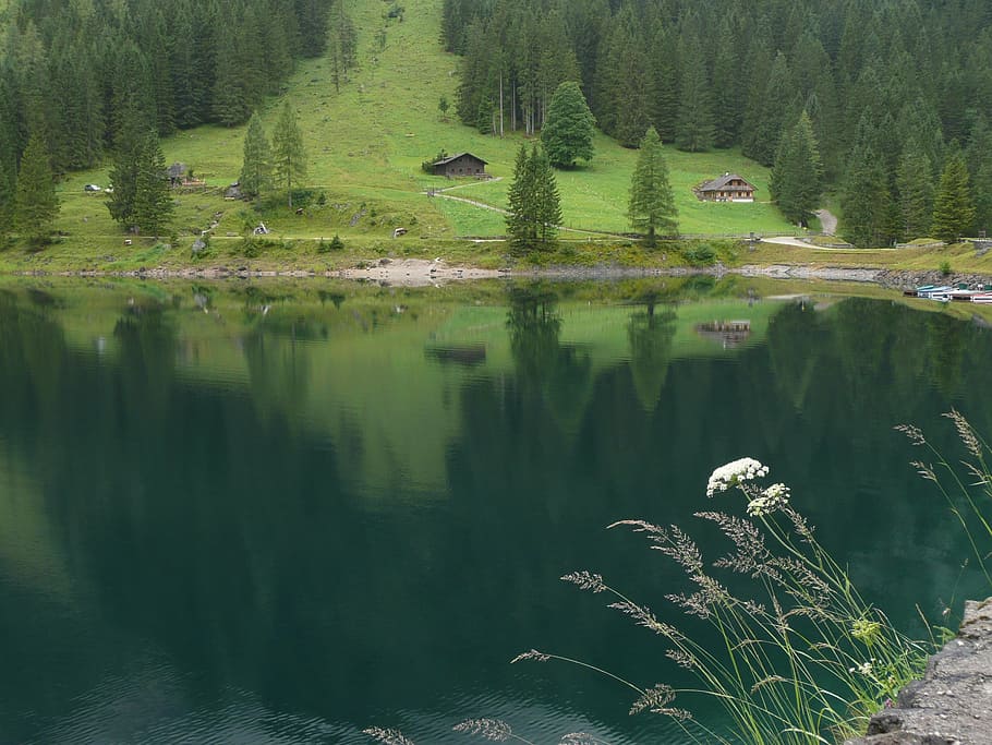 lago, dachstein, áustria, água, reflexão, pureza, pacífico, tranquilo, calma, natureza