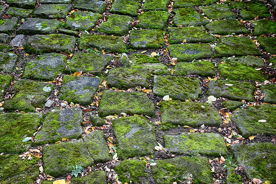 brick rocks, covered, moss, cobblestones, green, roof, basalt, paving stones, pavement, structure