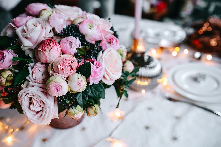 mesa, decorações, jogo de mesa, rosa, feriado, glamour, natal, flor, planta com flor, beleza da natureza