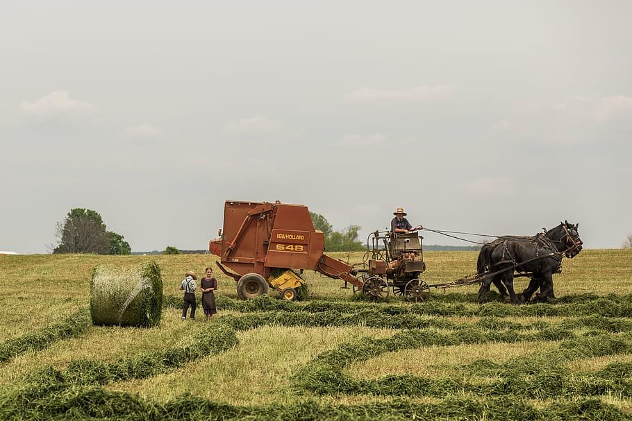 man, using, farm, heavy, equipment, red, hay, tractor, pulled, black