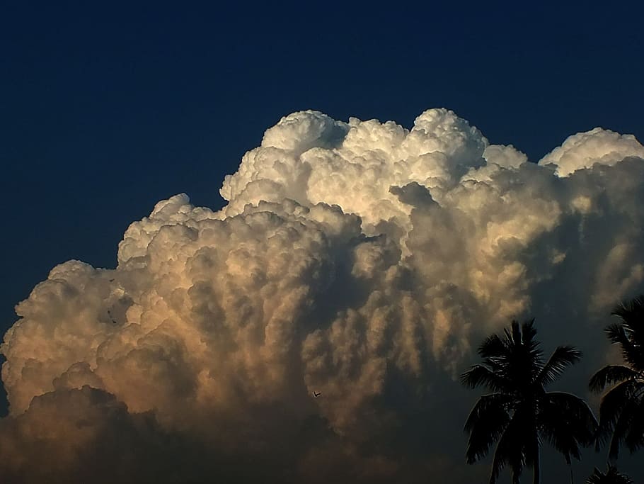 Cloudscape, Roof Top, Kolkata, from my roof top, nature, sky, cloud - Sky, blue, weather, summer