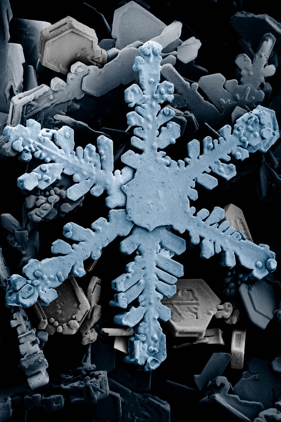 blue, snowflakes close-up photo, ice crystal, crystals, snow, ice, snow crystals, water crystals, crystal form, form